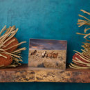 Search for wild plaques Farm