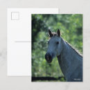 Search for backlit postcards Breed