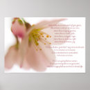 Search for st francis of assisi posters Pink