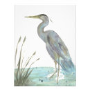 Search for blue heron art Waterfowl