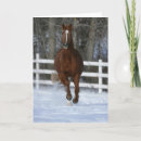 Search for stallion cards Snow