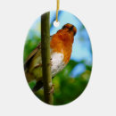Search for robin bird christmas tree decorations Photography