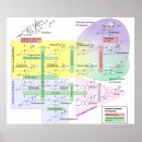 Search for biologic posters Human