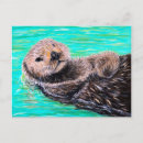 Search for white and turquoise postcards Aqua