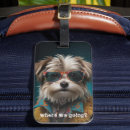 Search for dog luggage Pet