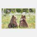 Search for two bears stickers Nature