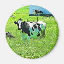 Search for dairy cow magnets Nature