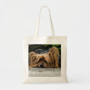 Search for yorkshire terrier bags Canine