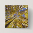 Search for autumn tree badges Fall