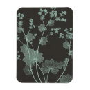 Search for a study magnets Floral