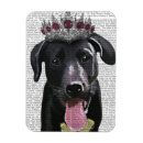 Search for tiara magnets Flowers