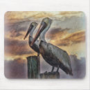 Search for pelicans mouse mats Beach