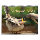 Search for robin bird calendars Bluebird