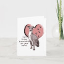 Search for italian greyhound cards Dogs