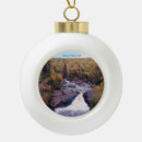 Search for beaver christmas tree decorations Nature