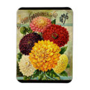 Search for flower seed packets For her