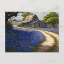 Search for texas bluebonnet postcards Country