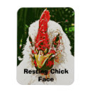 Search for chick rectangular magnets Funny