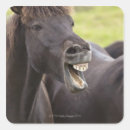 Search for funny expression stickers Humour
