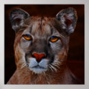 Search for puma posters Panther