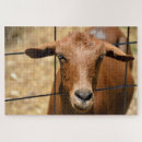 Search for goat puzzles Farm
