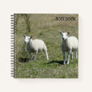 Search for adoration notebooks Baby
