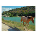 Search for sicily posters Countryside
