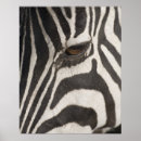Search for extreme animals art Nature