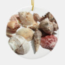 Search for oyster christmas tree decorations Nature