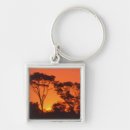 Search for tree of life key rings Africa