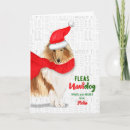 Search for rough collie christmas cards Dogs
