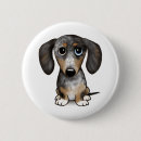 Search for dachshund badges Puppy