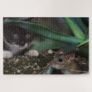 Search for mouse puzzles Kids