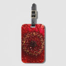 Search for orange gerbera accessories Floral