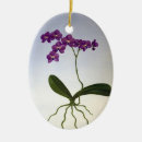 Search for roots christmas tree decorations Flowers