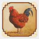 Search for red chicken stickers Birds