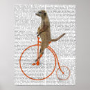 Search for meerkat posters Animals