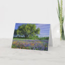 Search for bluebonnet cards Field