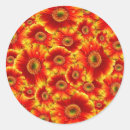 Search for gerbera daisy stickers Daisies