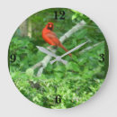 Search for cardinal clocks Red