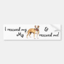 Search for pit bull bumper stickers Pittie