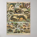 Search for reptile posters Vintage