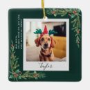 Search for cute animals christmas tree decorations Modern
