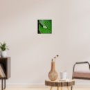 Search for green tree frog posters Cute