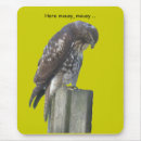 Search for bird hunters mouse mats Bird of prey