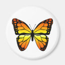 Search for monarch butterfly magnets Illustration