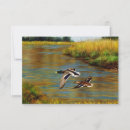 Search for duck pond invitations Waterfowl