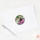 Search for tiger swallowtail stickers Flower