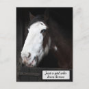 Search for barn vertical postcards Horse