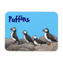 Search for puffins magnets Birds